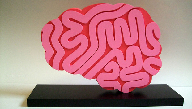 3D Printed Brain