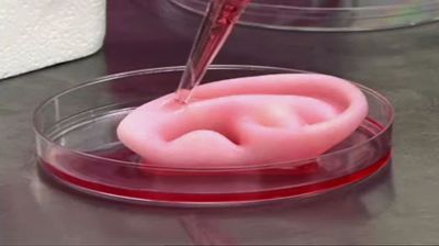 BioPrinting ear