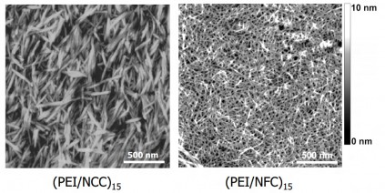 nanocellulose crystalline fibril