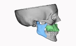 cjp image1